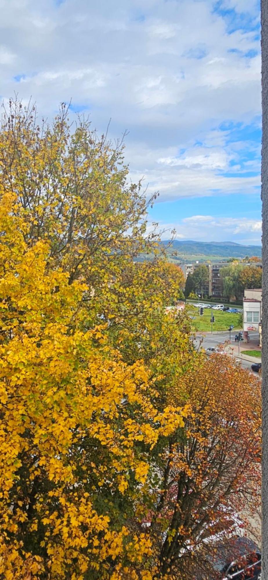 Apartament Diselvio Nowy Targ Esterno foto